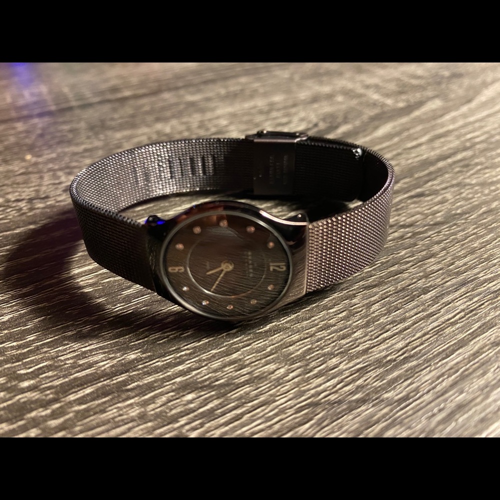 Skagen Watch